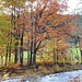 ... mit prächtigen Herbstfarben