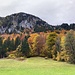 feine Herbstblätterfarben vor ...