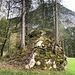 dieser mächtige Felsblock bietet einigen grossen Tannen Halt