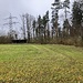 Vor dem Wuestwald bei Chessleracher.