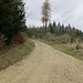 Teilweise breite Wanderwege.