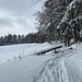 Bereits im Abstieg. Hier felle ich ab.<br /><br />