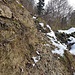 intensiv von Rehen begangen