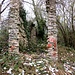 La Cascina Montallegro sempre più diruta.