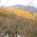 Contrasti di colore.