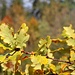 Herbst im Karwendel