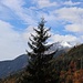 Blick zur Brandjochspitze
