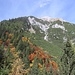 Rumer Spitze