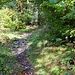 wieder auf dem Wanderweg