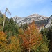 herbstlicher Anstieg