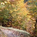 unterwegs zum Thaurer Rosskopf
