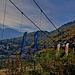 la nuova passerella