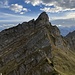 Schafberg, ein toller Zacken!