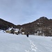 Scogna