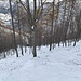 in discesa sul versante dopo l'Alpe Druzzo