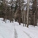 strada sterrata che porta a Laurenzo