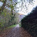sulla pista ciclopedonale verso Sant'Anna