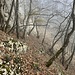 Unterhalb der großen Felswand auf ca. 900 m endet der Zickzack und die Querung nach Osten beginnt