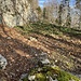 Am Ende des trassierten Wegs auf ca. 1030 m - von dem zwischenzeitlichen Gemurkse im Wald über den Felsen habe ich keine Fotos...