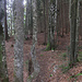 Lauschige Pfade VI