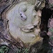 Gesichter aller Orten