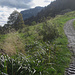 Gleich an der Gopf-Alpe