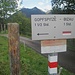 Am Abzweig nahe Rosenburg