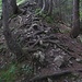 Lauschige Pfade V