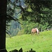 Es wird heller