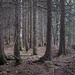 Lauschige Pfade VII - Rückblick