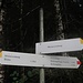 Abzweiger im Talgrund