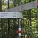 ... und der nächste im Wald unterhalb