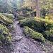 ... und mystisch anmutende Passage ...