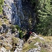 Rückblick zum Einstieg
