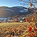 ... Herbst ob Seewis...