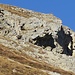 Im Steilhang schickten diese 2 stattlichen Steinböcke ein paar Steine ins Tal