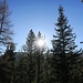 Letzte Sonnenstrahlen vor der Bärentaleralp die bereits im Schatten liegt