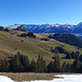 Oberhalb des Waldes erreicht man die weite und offene Almlandschaft