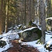 Unterwegs am Witikosteig