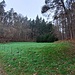 Bald gelangte ich an einer Lichtung mit einer weiteren Gabelung. Hier wanderte ich auf der rechten Talseite nach rechts in ein Seitental hinein.