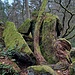 Brüchiges Gelände am Dretschfels.