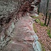 ...und wandte mich unten gleich scharf nach links (ostwärts), um über das schöne, breite Band zurück zum Wanderweg zu gehen. 