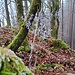 Am Gipfel des Rauhbergs.