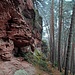 Auf der Südseite des Retschelfelsens. Dieses mächtige, langgestreckte Riff ist bis zu 36 Meter hoch. 