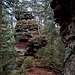 Am Käskammerfels. Einser- und Zweierrouten sind schnell entdeckt, angesichts der nassen Vegetation aber an diesem Tag tabu.