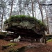 Dann wanderte ich an den letzten Türmchen der Retschelfelsenkette hinauf auf den Gipfel des Rauhbergs.