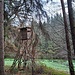 Auf dem Talboden traf ich wieder auf einen breiten Weg. Diesem folgte ich nach links bis zu einer kleinen Lichtung.
