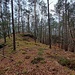 Ich verließ hier erneut das Wegenetz, und wanderte ziemlich genau in südlicher Richtung den Wald hinunter zum Schmalstein. Das ist ein zweigeteiltes Massiv.