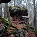 Ich umrundete die Felsen am Knopf und wanderte auf deren anderer Seite, weiteren Felsen folgend, nordwärts, bis ich auf der Südseite des Retschelfelsens wieder auf einen Weg stieß. Es ist wieder der Napoleon-Steig.<br />