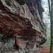 Der Napoleon-Steig dreht dann auch um den Eisenbahnzug herum und führt auf dessen Rückseite wieder zurück zum Gipfel des Rauhbergs.